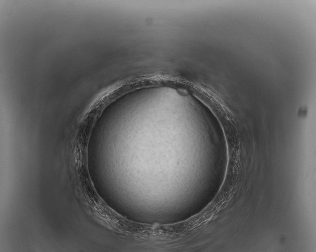 X0000095961207200801181437
