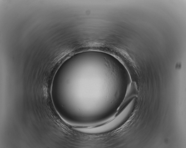 X0000095961209200801181437