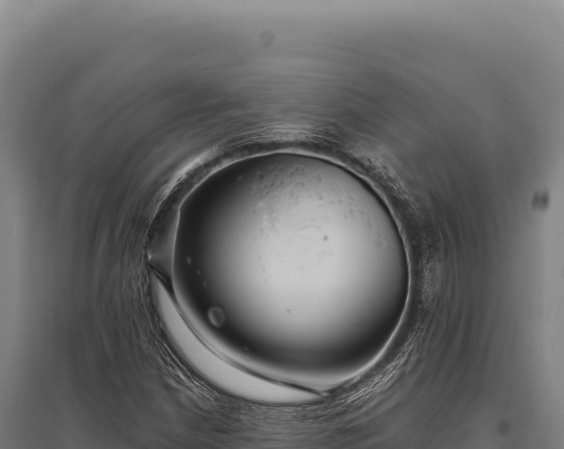 X0000095961210200801181437