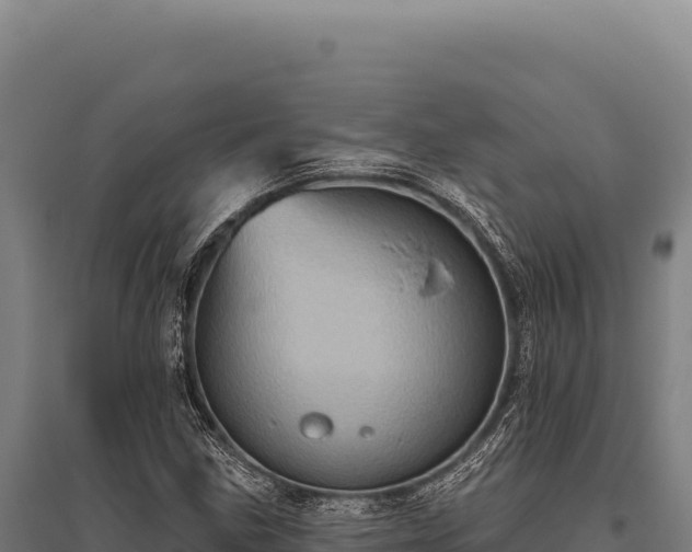 X0000095961211200801181437