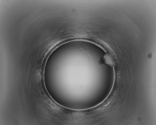 X0000095961212200801181437