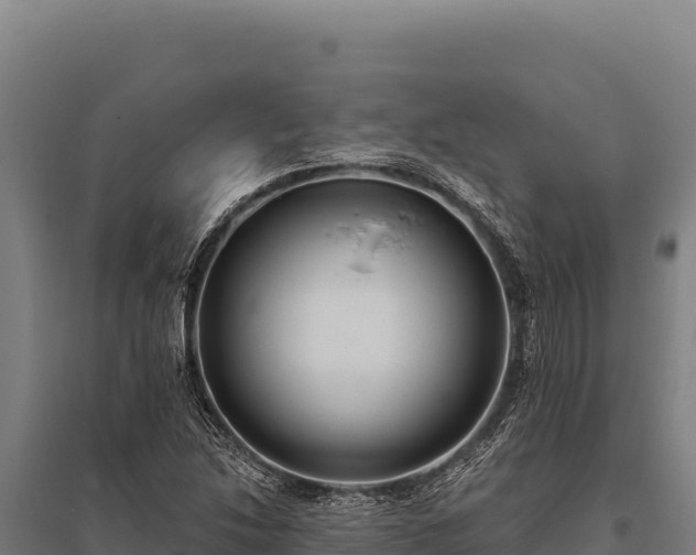 X0000095961214200801181437