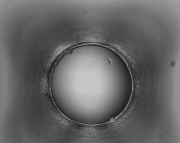 X0000095961215200801181437