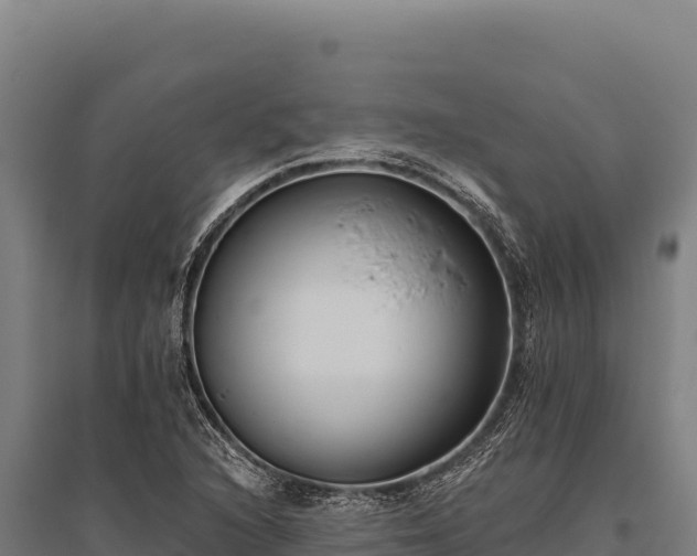 X0000095961216200801181437