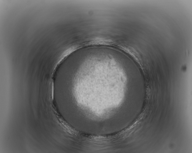 X0000095961219200801181437