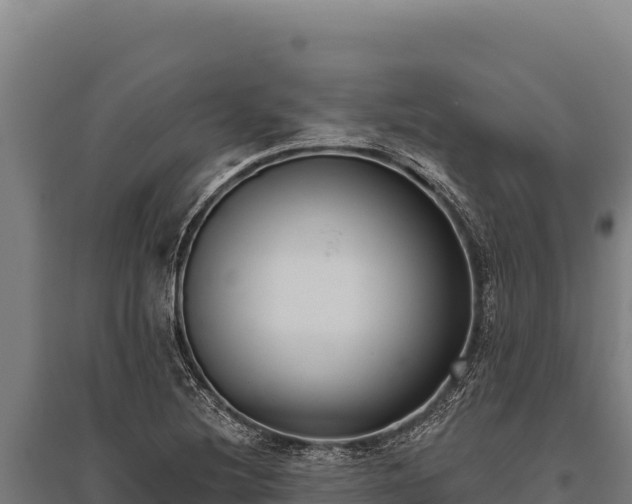 X0000095961220200801181437