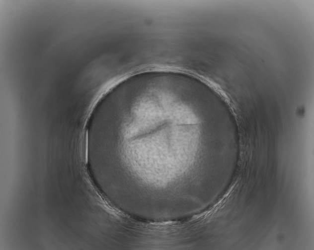 X0000095961223200801181437