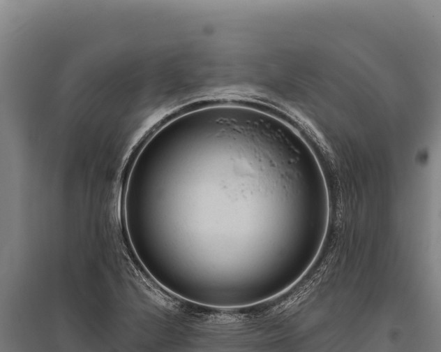 X0000095961224200801181437