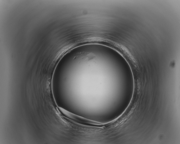 X0000095961225200801181437