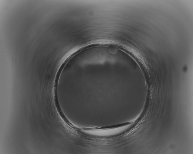 X0000095961229200801181437