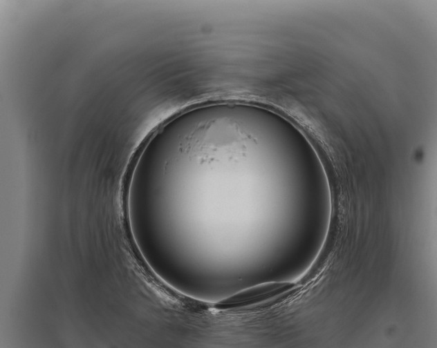 X0000095961230200801181437