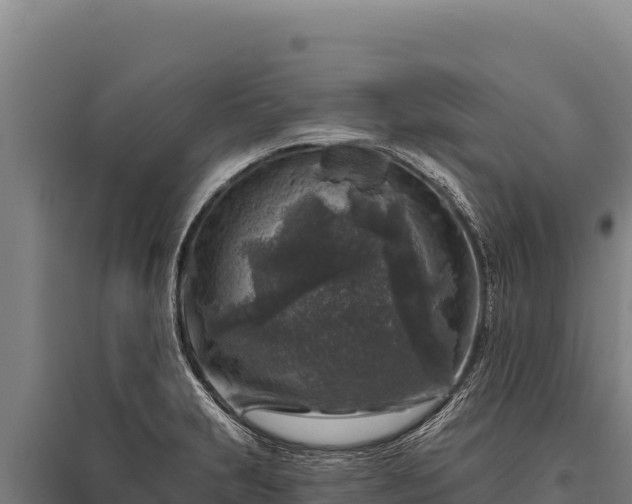 X0000095961231200801181437