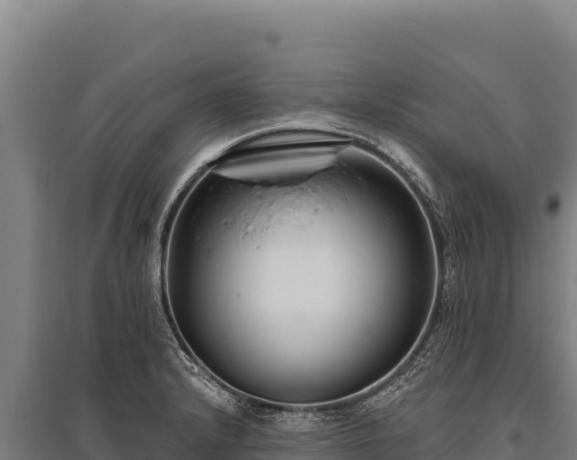 X0000095961232200801181437