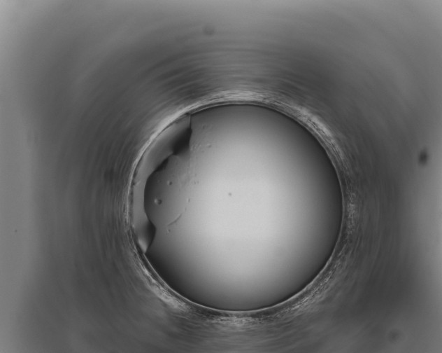 X0000095961236200801181437