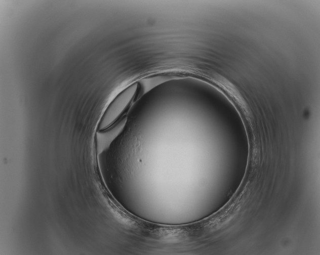 X0000095961242200801181437