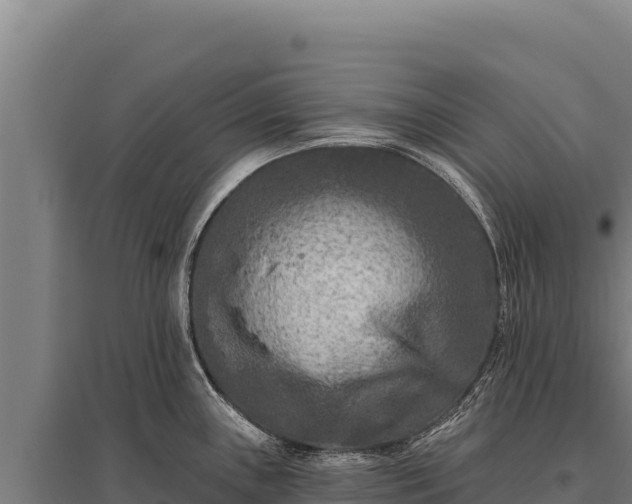 X0000095961243200801181437