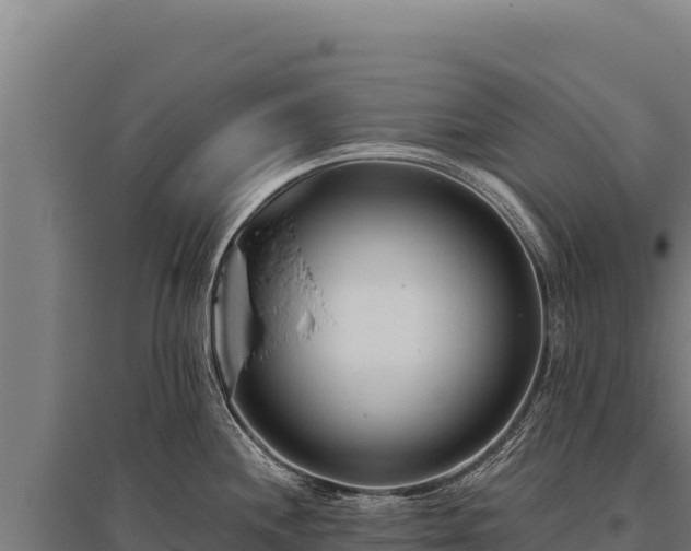 X0000095961244200801181437