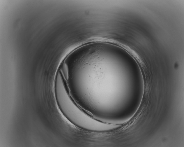 X0000095961247200801181437