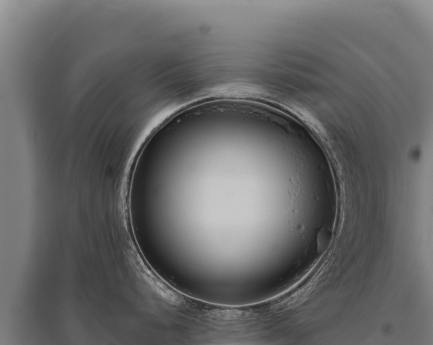 X0000095961248200801181437