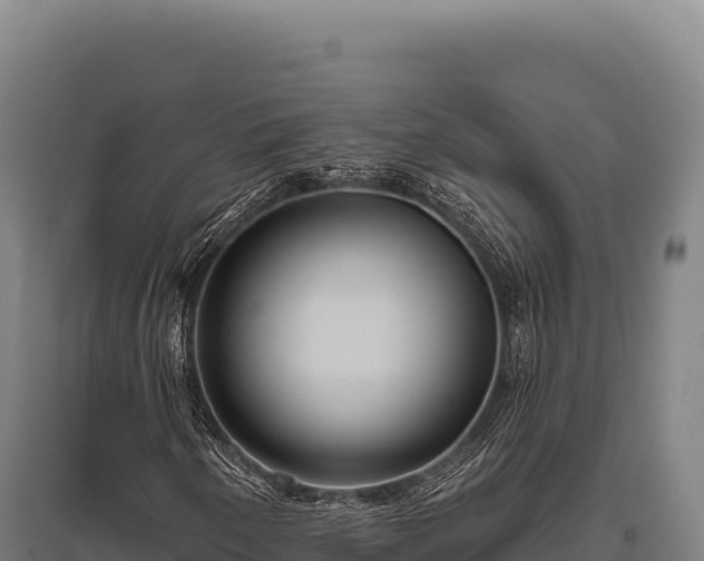 X0000095961250200801181437