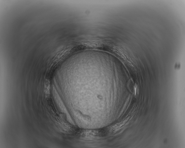 X0000095961251200801181437