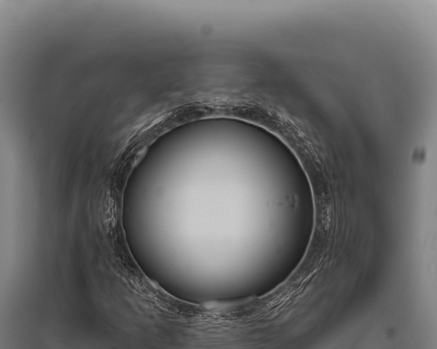 X0000095961253200801181437