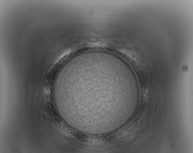 X0000095961254200801181437