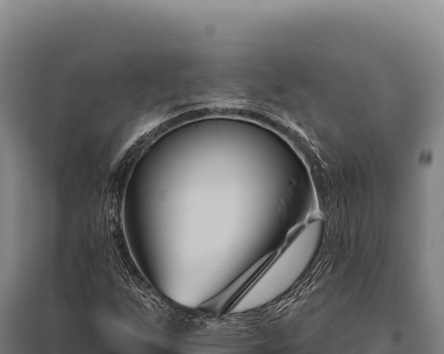 X0000095961255200801181437