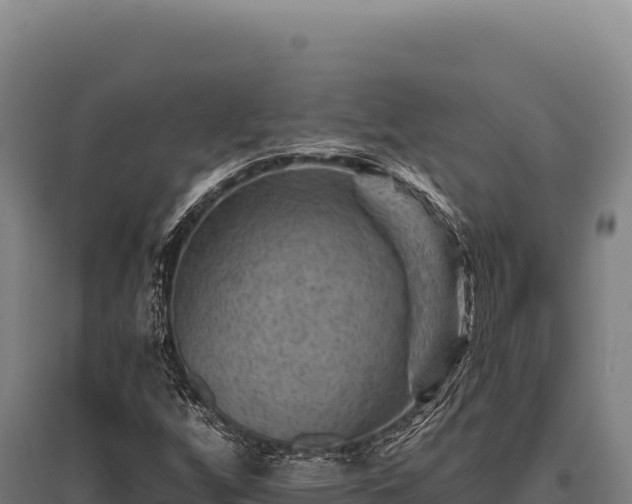 X0000095961256200801181437