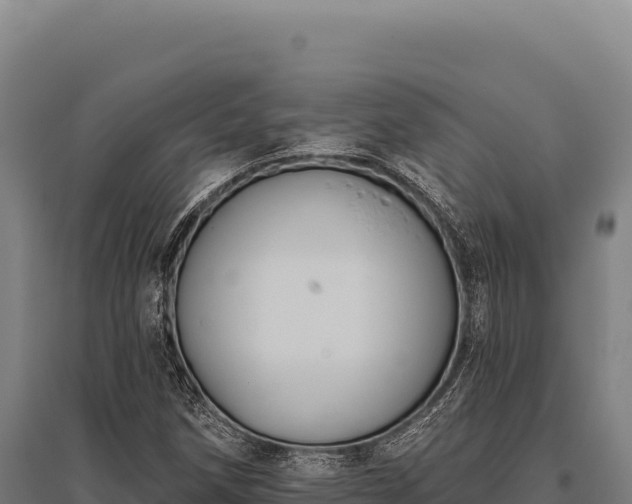 X0000095961258200801181437