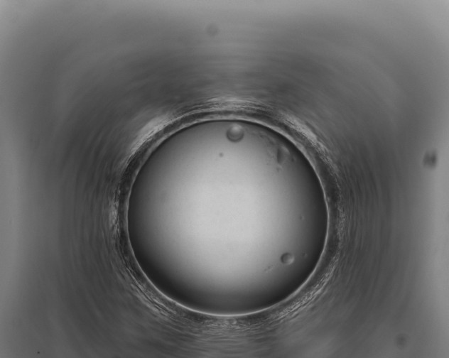 X0000095961259200801181437