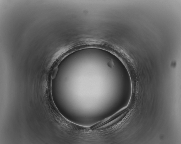 X0000095961261200801181436