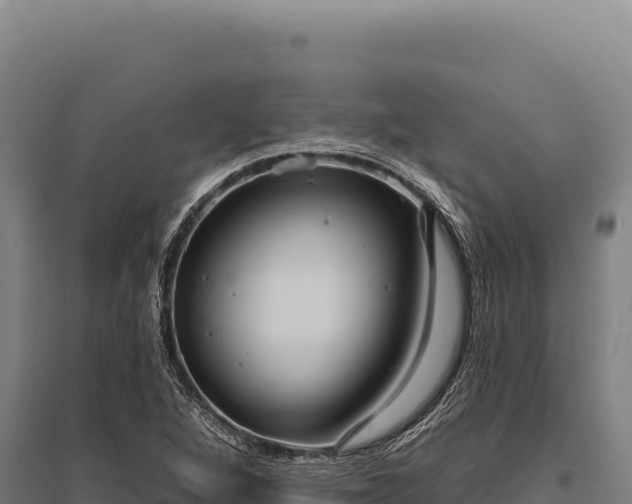 X0000095961264200801181436