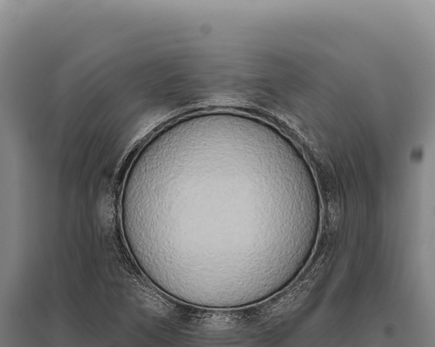X0000095961266200801181436
