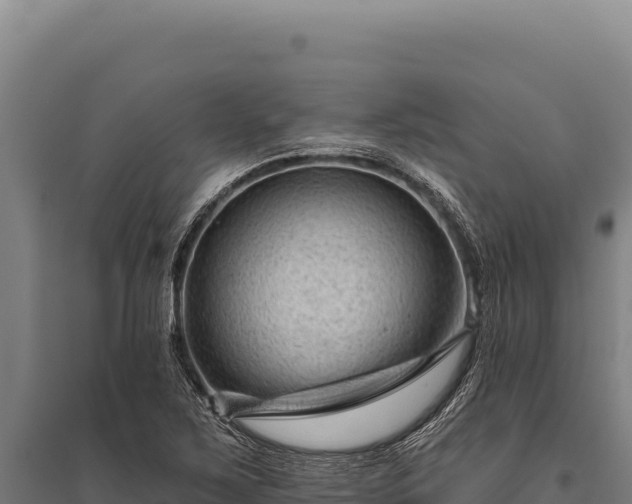 X0000095961267200801181436