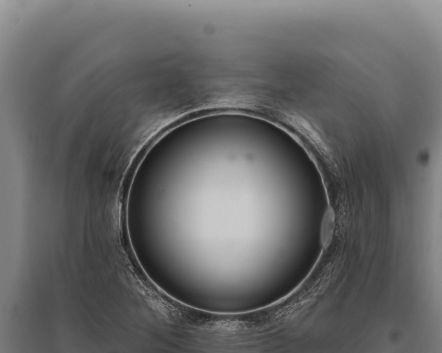 X0000095961268200801181436
