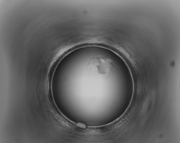 X0000095961270200801181436