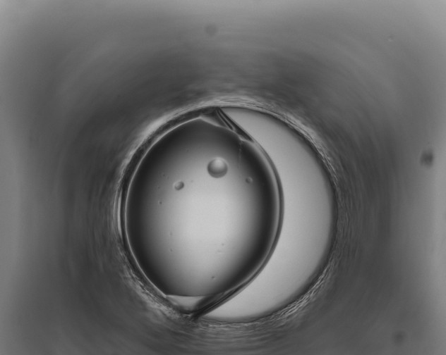 X0000095961272200801181436