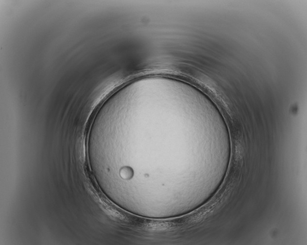 X0000095961274200801181436