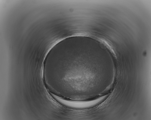X0000095961276200801181436