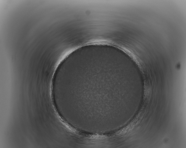 X0000095961277200801181436