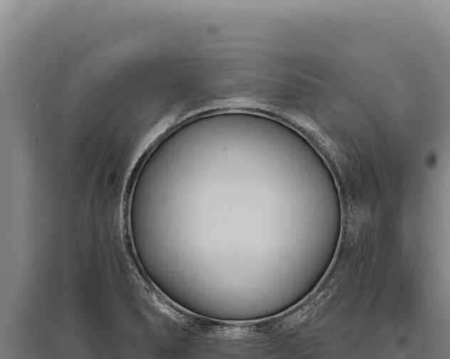 X0000095961278200801181436