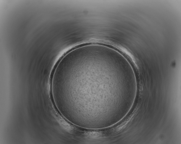 X0000095961280200801181436