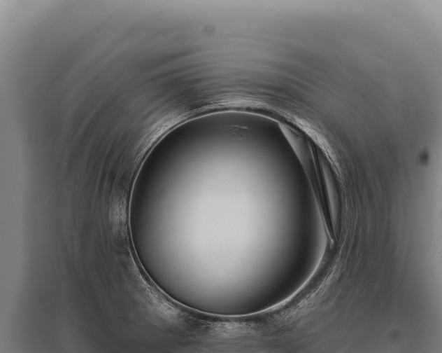 X0000095961281200801181436