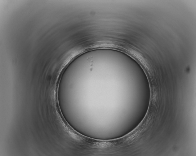 X0000095961282200801181436