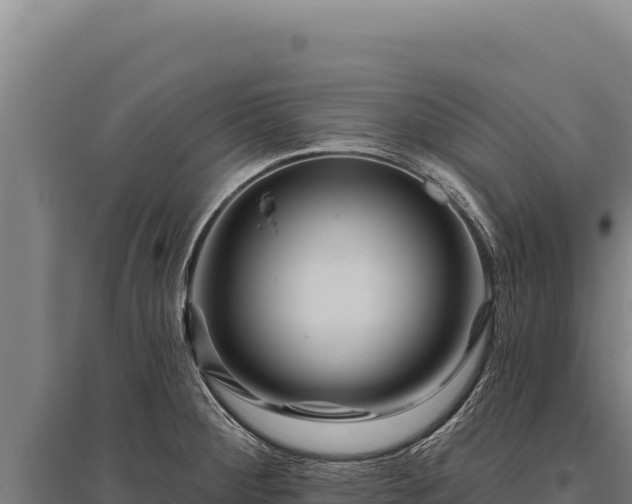 X0000095961284200801181436