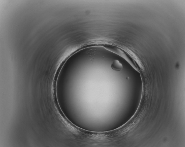 X0000095961285200801181436