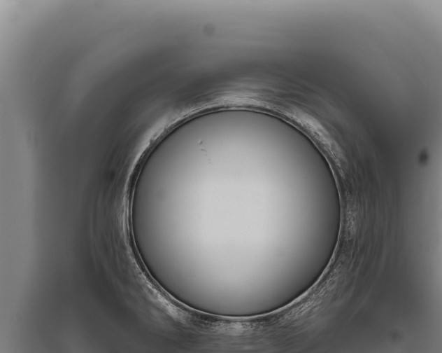 X0000095961286200801181436