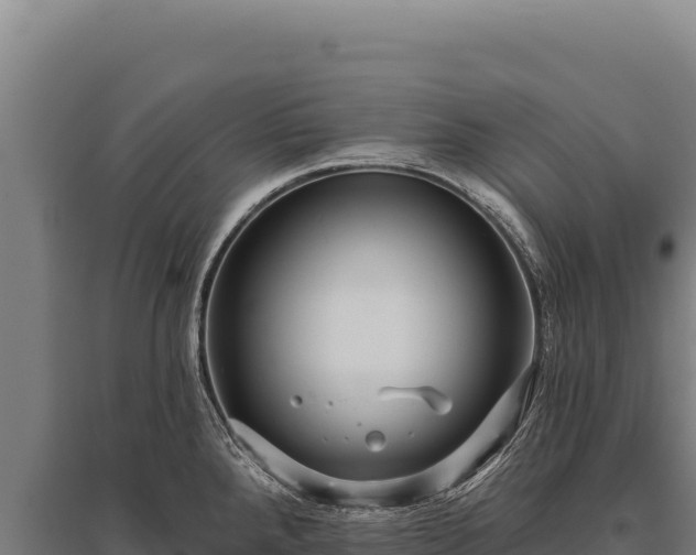 X0000095961288200801181436