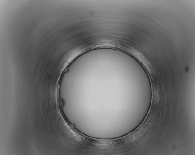 X0000095961290200801181436